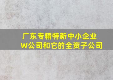 广东专精特新中小企业W公司和它的全资子公司