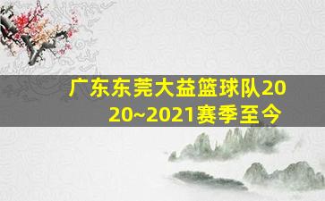 广东东莞大益篮球队2020~2021赛季至今