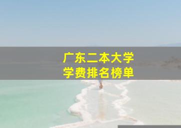 广东二本大学学费排名榜单