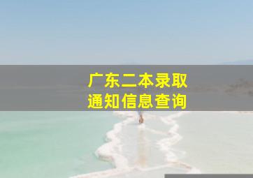 广东二本录取通知信息查询