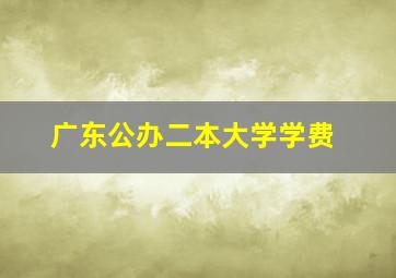 广东公办二本大学学费