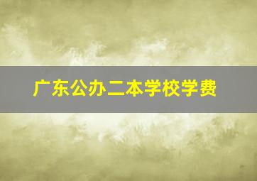 广东公办二本学校学费