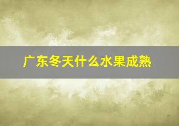 广东冬天什么水果成熟