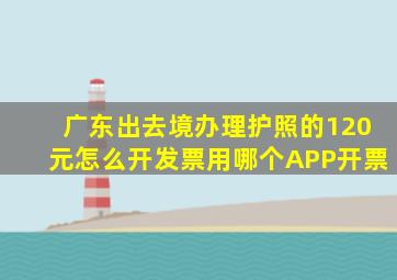 广东出去境办理护照的120元怎么开发票用哪个APP开票