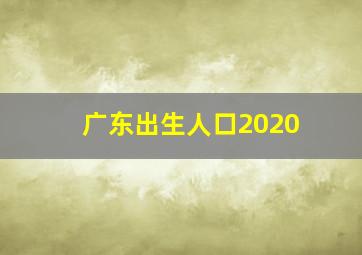 广东出生人口2020