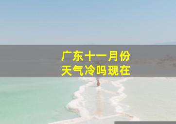 广东十一月份天气冷吗现在