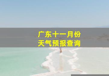 广东十一月份天气预报查询