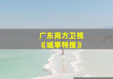 广东南方卫视《城事特搜》