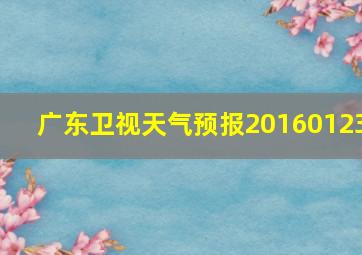 广东卫视天气预报20160123