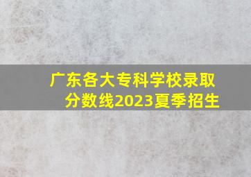 广东各大专科学校录取分数线2023夏季招生