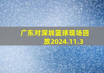 广东对深圳篮球现场回放2024.11.3