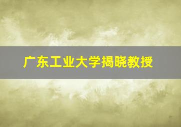 广东工业大学揭晓教授