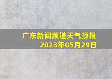 广东新闻频道天气预报2023年05月29日