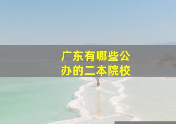 广东有哪些公办的二本院校