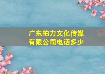 广东柏力文化传媒有限公司电话多少