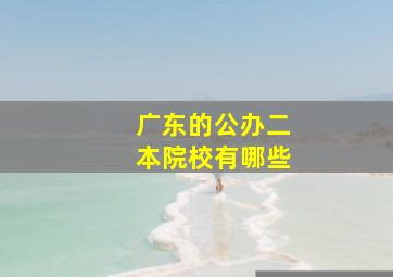 广东的公办二本院校有哪些