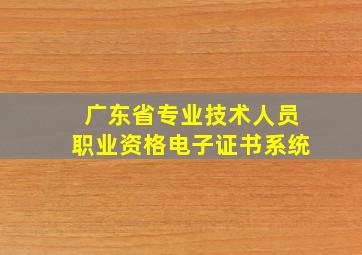 广东省专业技术人员职业资格电子证书系统