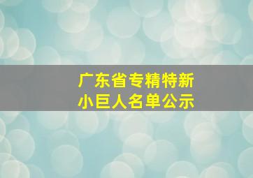 广东省专精特新小巨人名单公示