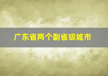 广东省两个副省级城市