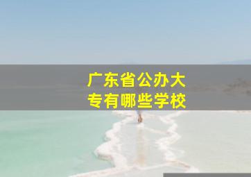 广东省公办大专有哪些学校