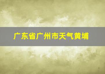 广东省广州市天气黄埔