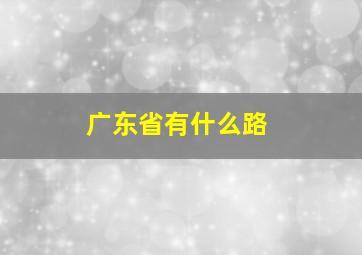 广东省有什么路