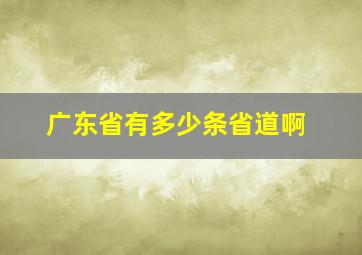 广东省有多少条省道啊