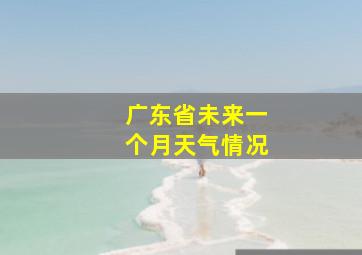 广东省未来一个月天气情况