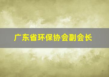 广东省环保协会副会长