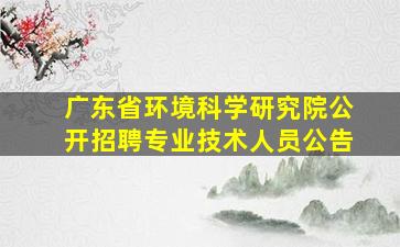 广东省环境科学研究院公开招聘专业技术人员公告