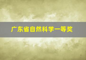 广东省自然科学一等奖