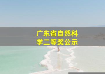 广东省自然科学二等奖公示