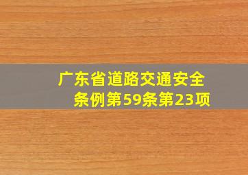 广东省道路交通安全条例第59条第23项