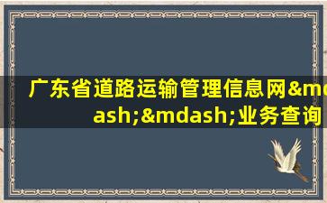 广东省道路运输管理信息网——业务查询