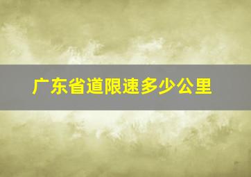 广东省道限速多少公里