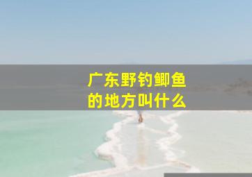 广东野钓鲫鱼的地方叫什么