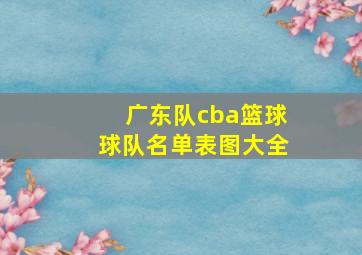 广东队cba篮球球队名单表图大全