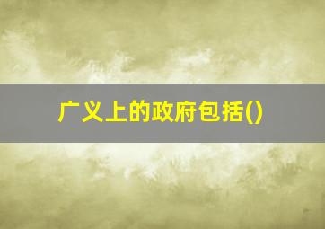 广义上的政府包括()