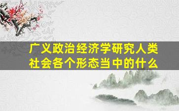 广义政治经济学研究人类社会各个形态当中的什么