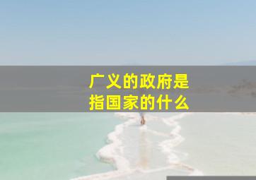 广义的政府是指国家的什么