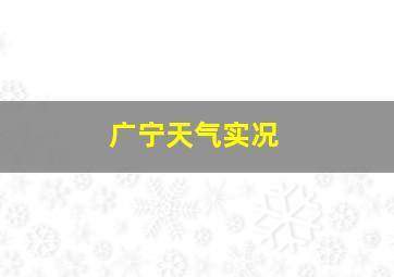 广宁天气实况