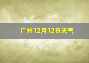 广州12月12日天气