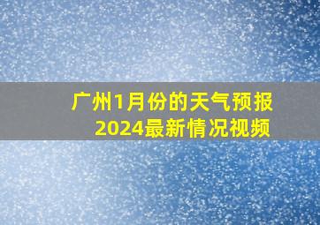 广州1月份的天气预报2024最新情况视频