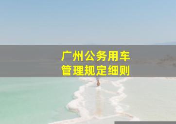 广州公务用车管理规定细则