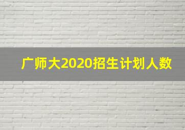 广师大2020招生计划人数