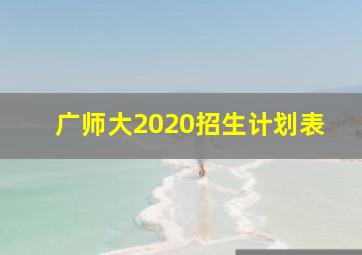 广师大2020招生计划表