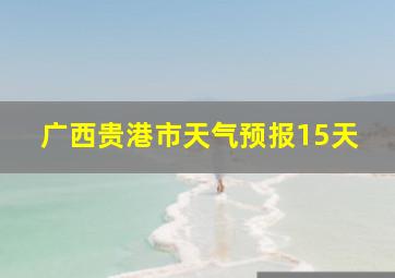 广西贵港市天气预报15天