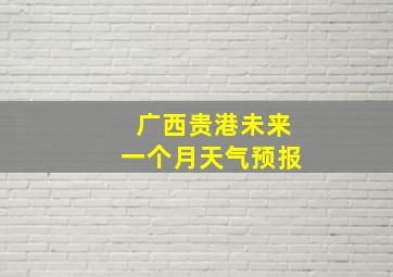 广西贵港未来一个月天气预报