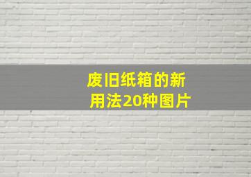 废旧纸箱的新用法20种图片