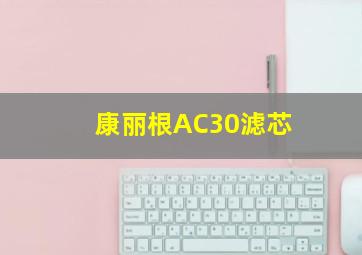 康丽根AC30滤芯